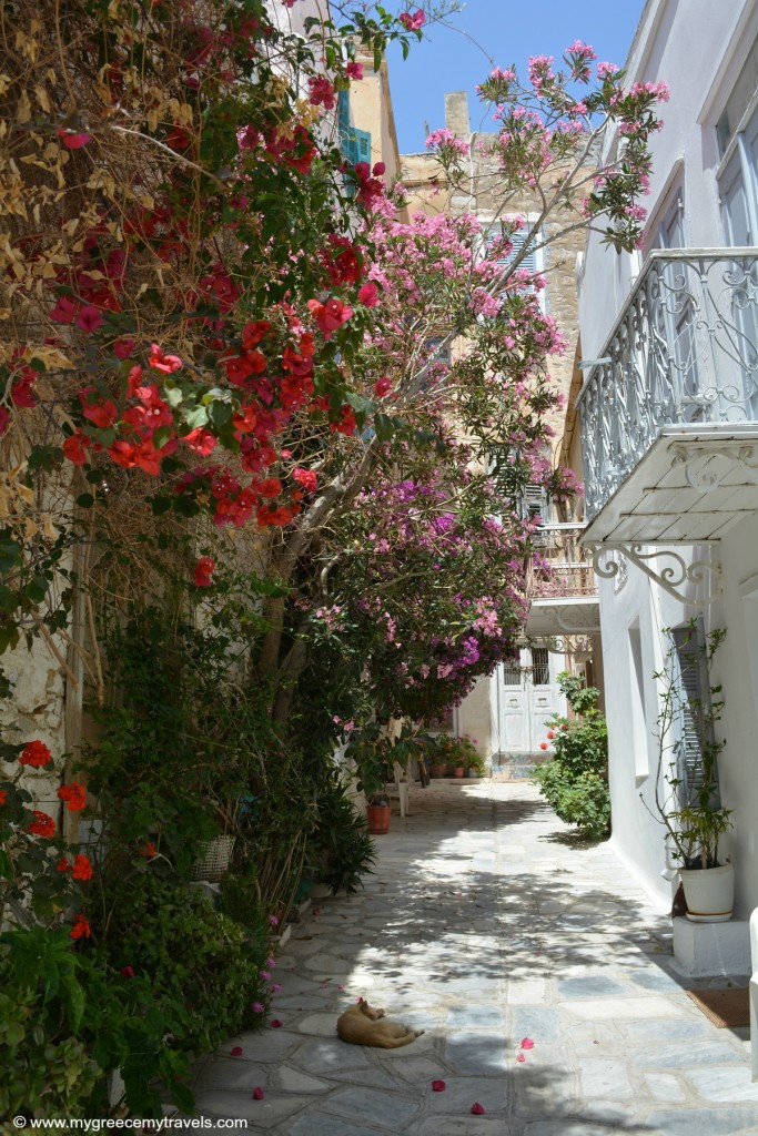 Beautiful Corners in Syros