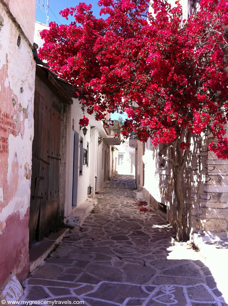 One of my favorite photos in Greece is from Chalki.