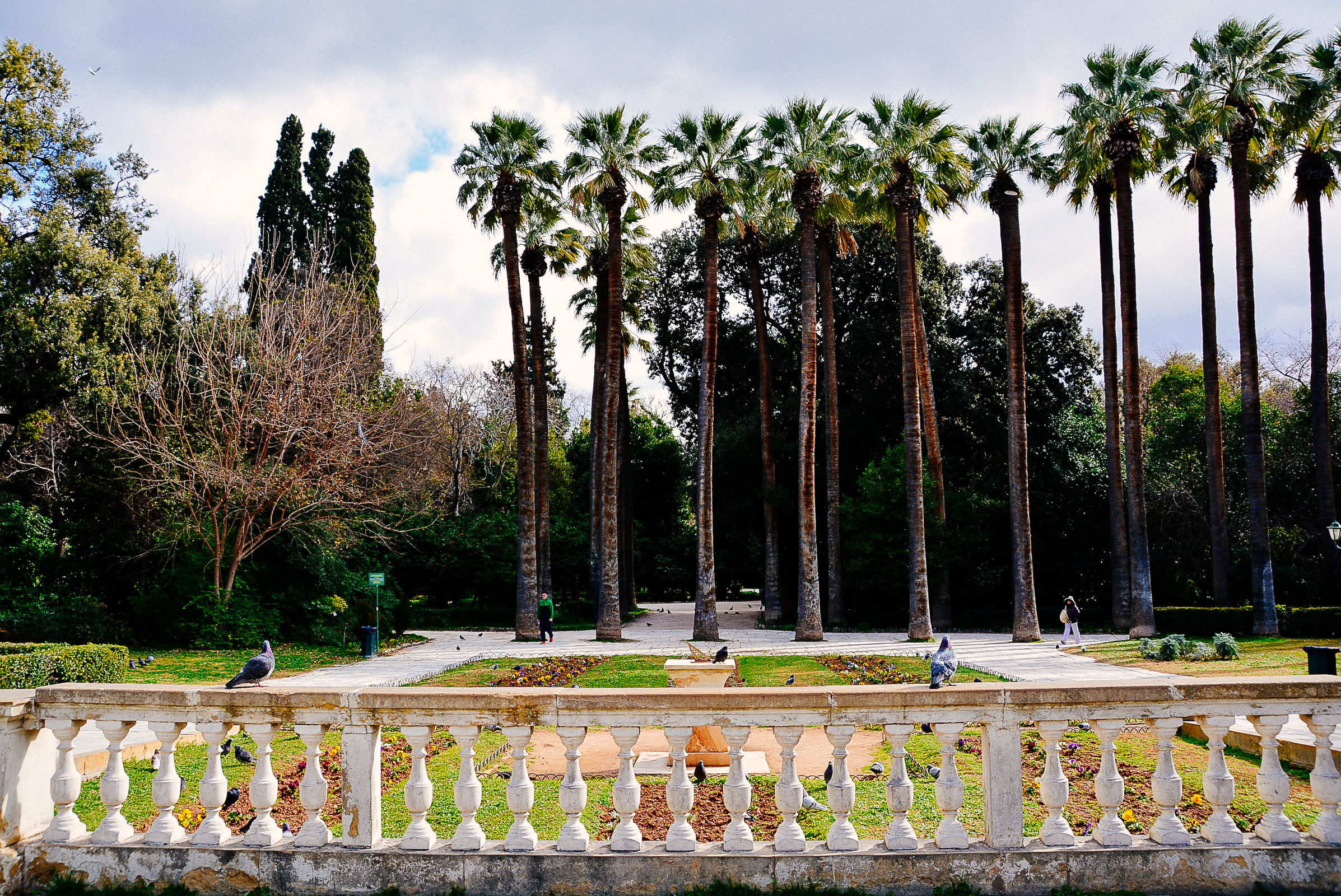 National Gardens Athens Archives Travel Greece Travel Europe