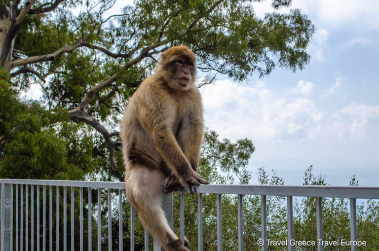 What to Do in Gibraltar in One Day: A Complete Guide